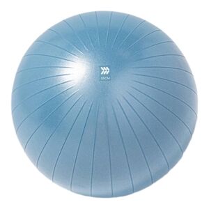 Stability Ball 55cm Blue - All in Motion New in Box with pump